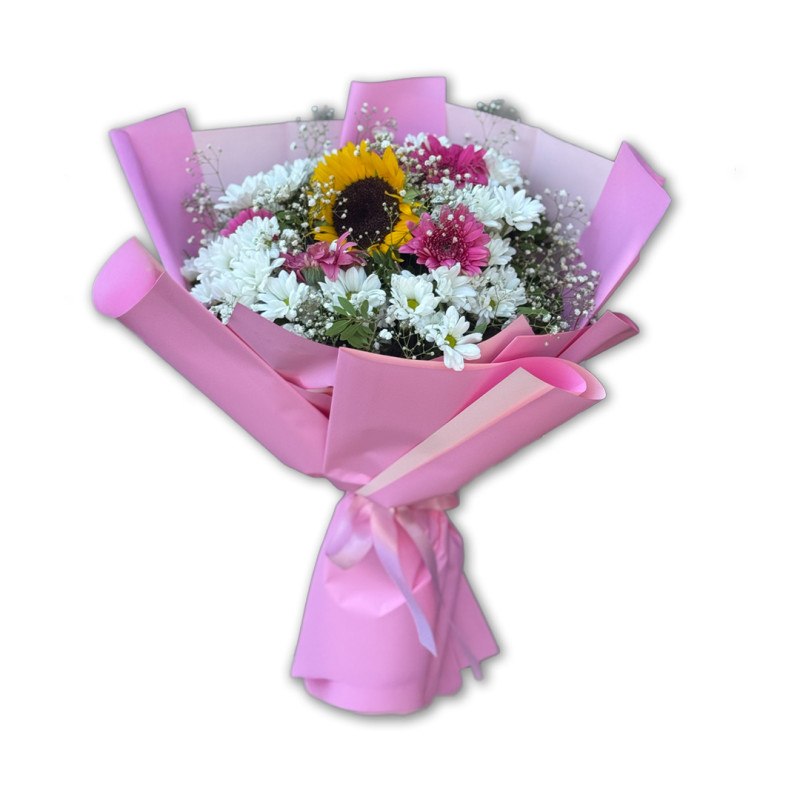 PAPATYA KASIMPATI AYÇİÇEĞİ