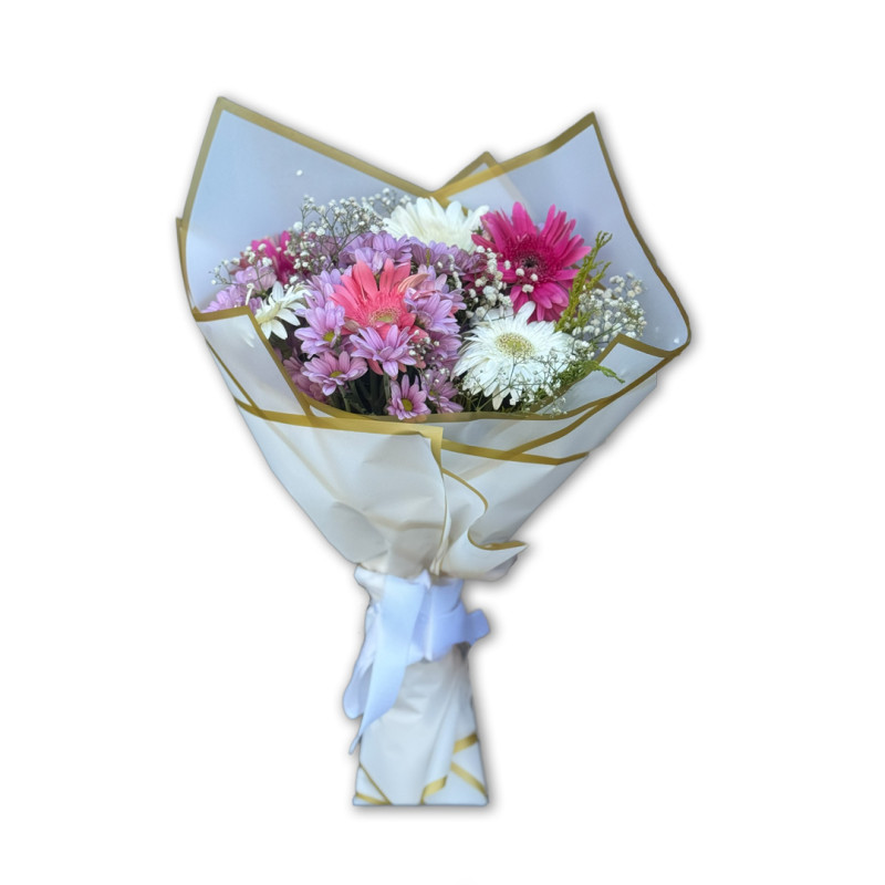 PEMBE PAPTYA GERBERA