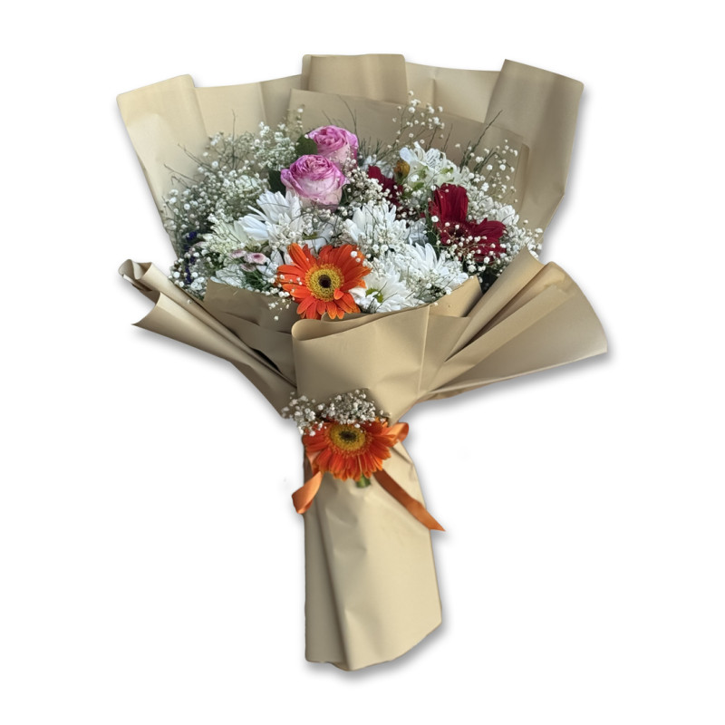 GÜL PAPATYA GERBERA