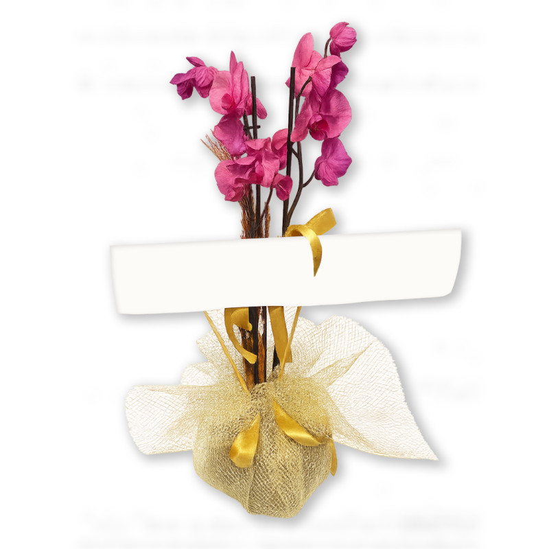 ATEŞ KIRMIZI AÇILIŞ ORKİDESİ