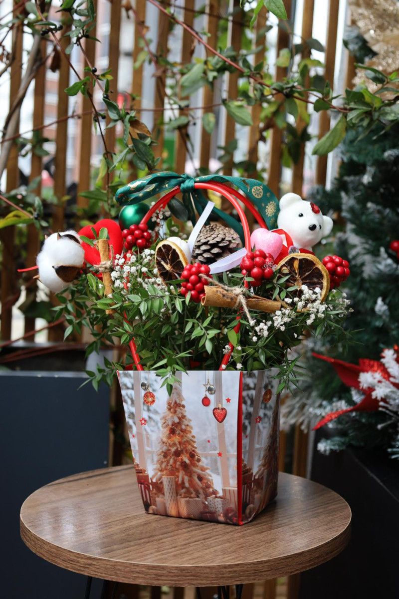 KOKİNA AYICIK ŞANS KUTUSU