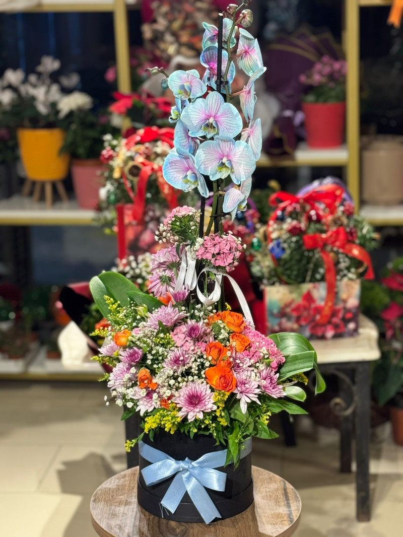 MAVİ PEMBE ORKİDE ARAJMANI