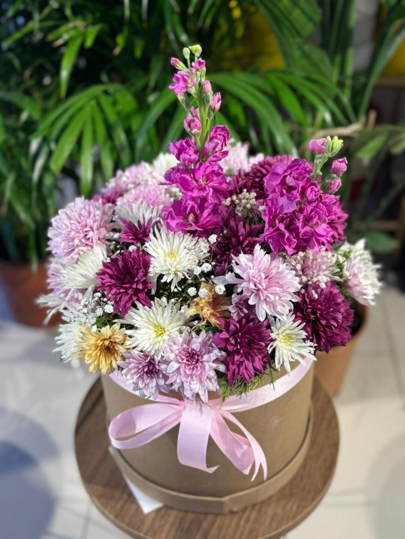 KASMIPATI  KUTU ARAJMAN