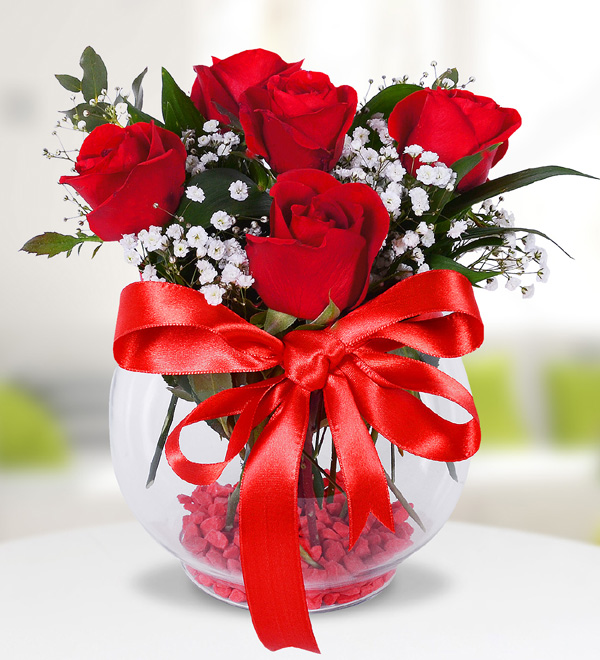 Akvaryumda 5 Kırmızı Gül