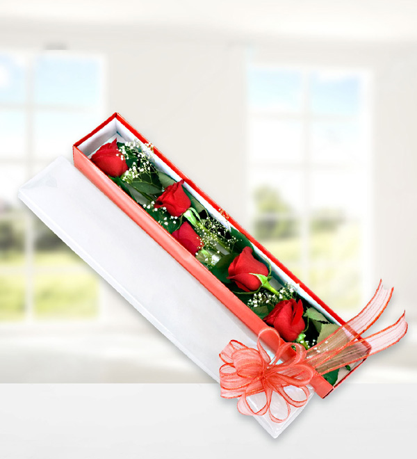 Zarif Kutuda 5 Kırmızı Gül