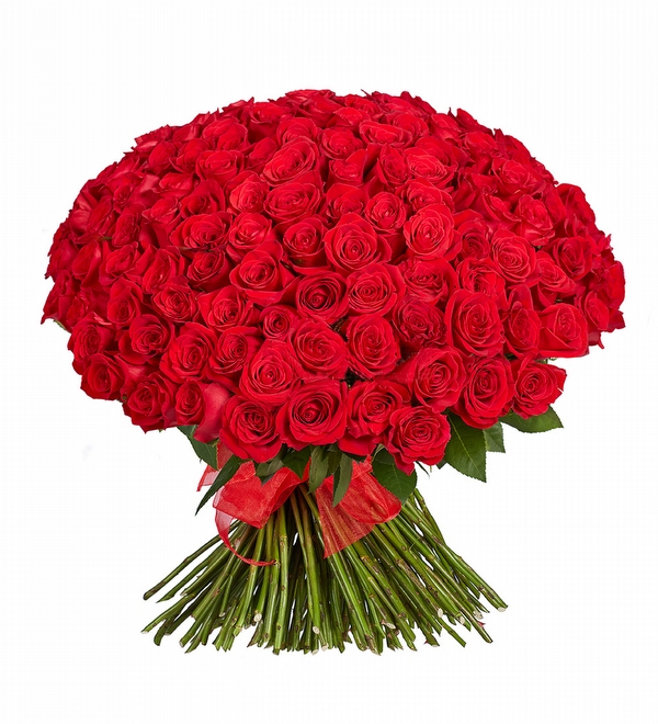 Seni Seviyorum 250 Kırmızı Gül Buketi