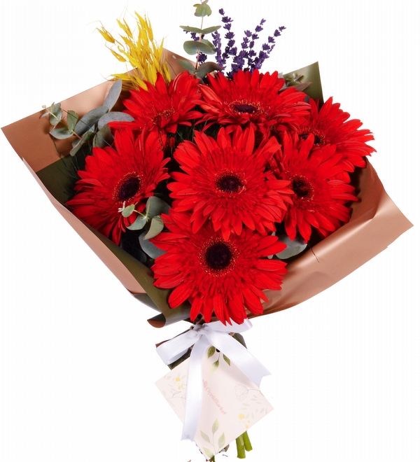 Red Garden 7 Gerbera Buketi