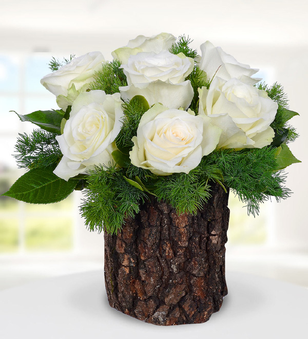 Doğal Kütükte İnci Tanesi 7 Beyaz Gül