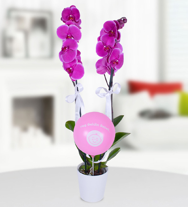 Pembe Balonlu Kız Bebek Mor Orkide